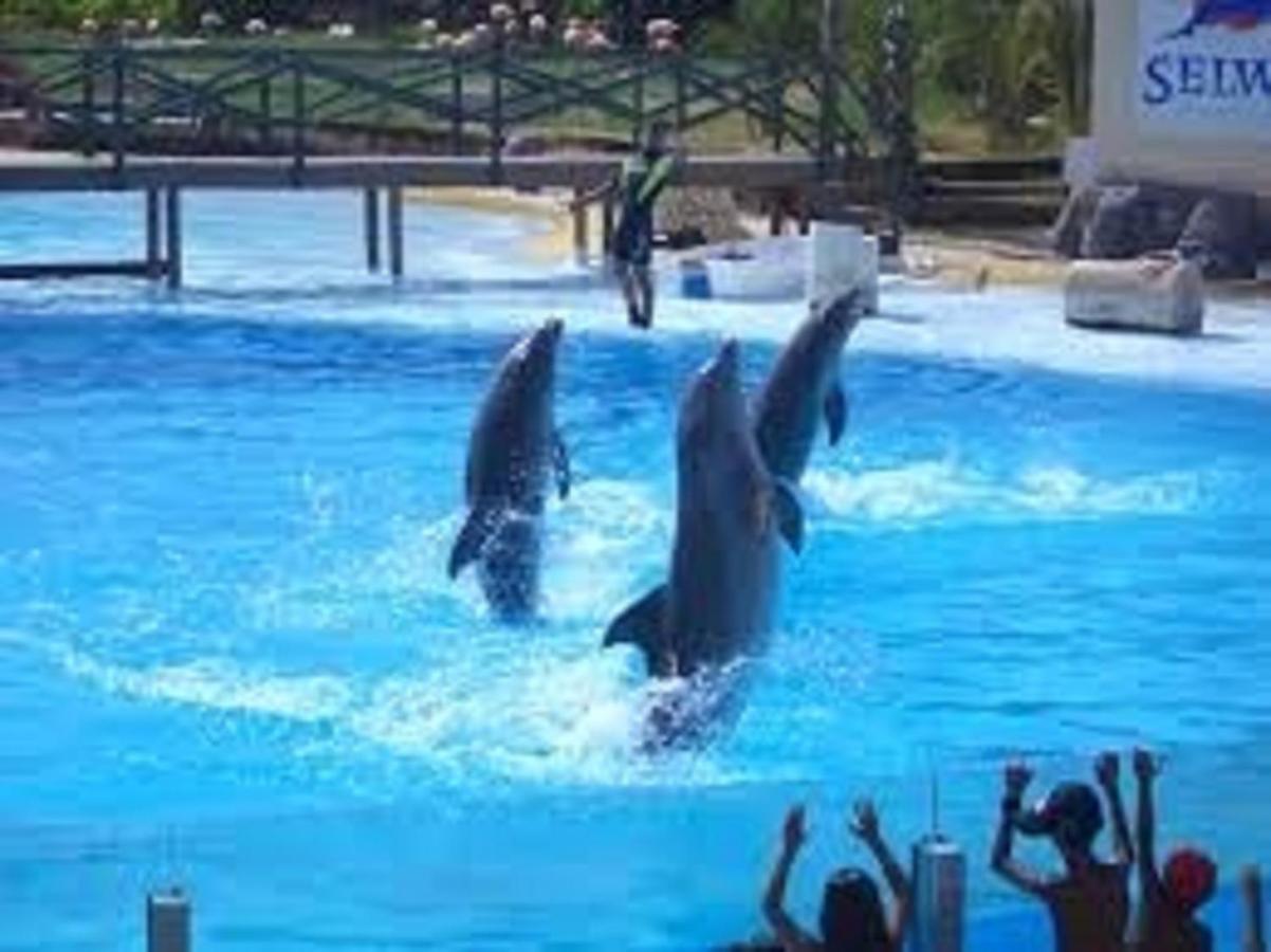 "Vive Benal Beach" Estudio 2501, Vistas Al Mar Y Parque Acuatico Benalmádena Eksteriør billede